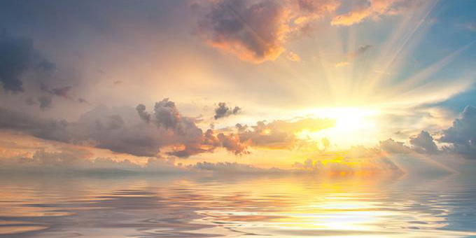 Card Header