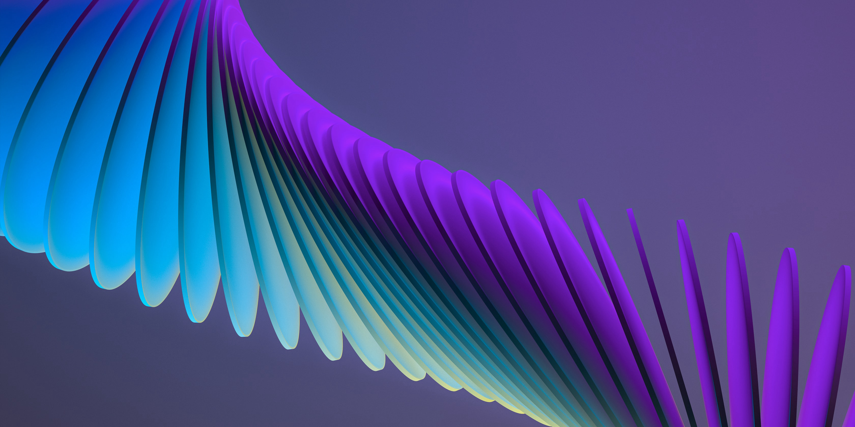 Card Header