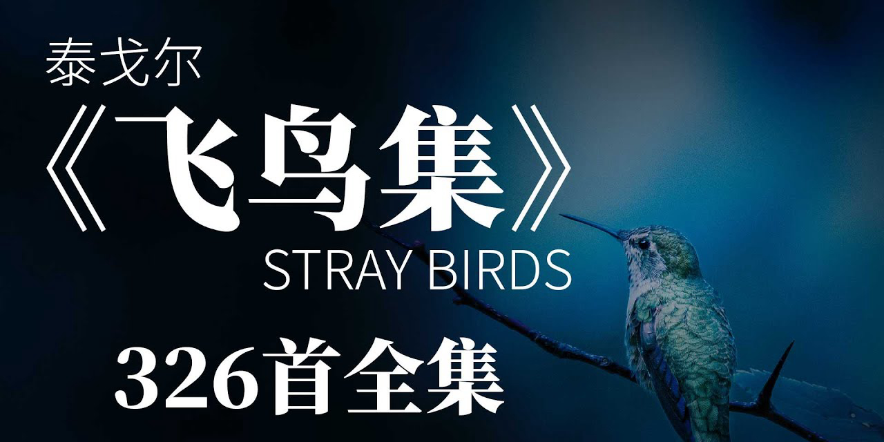 Card Header