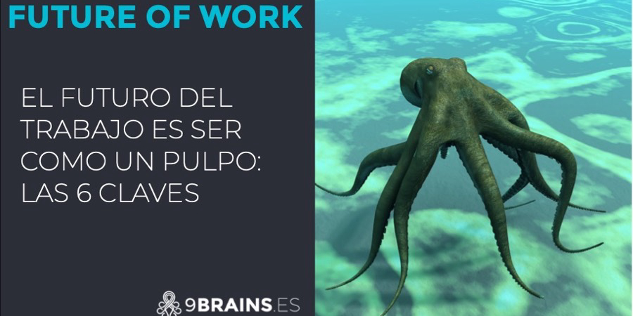 Pulpo con brazos coordinados