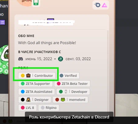 Роль контрибьютера Zetachain в Discord