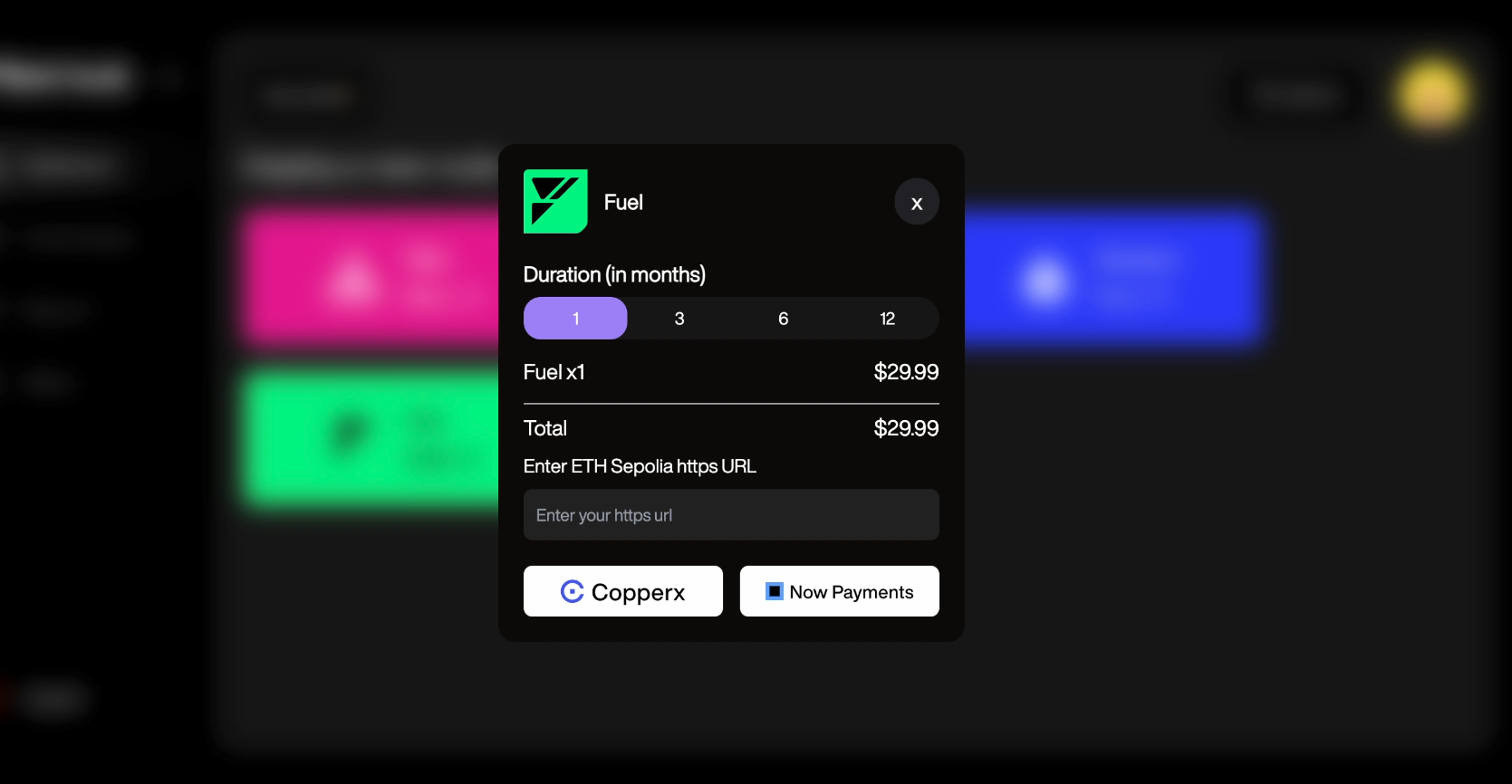 Paste API Key Link