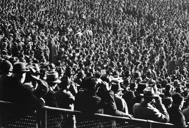 Who is smarter? A single leader, or their 1000's of subjects?