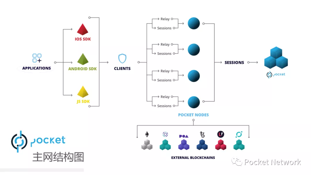 Pocket Network的服务结构图