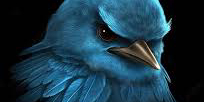 Card Header