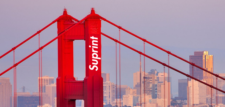 The Bridge To Financial Freedom