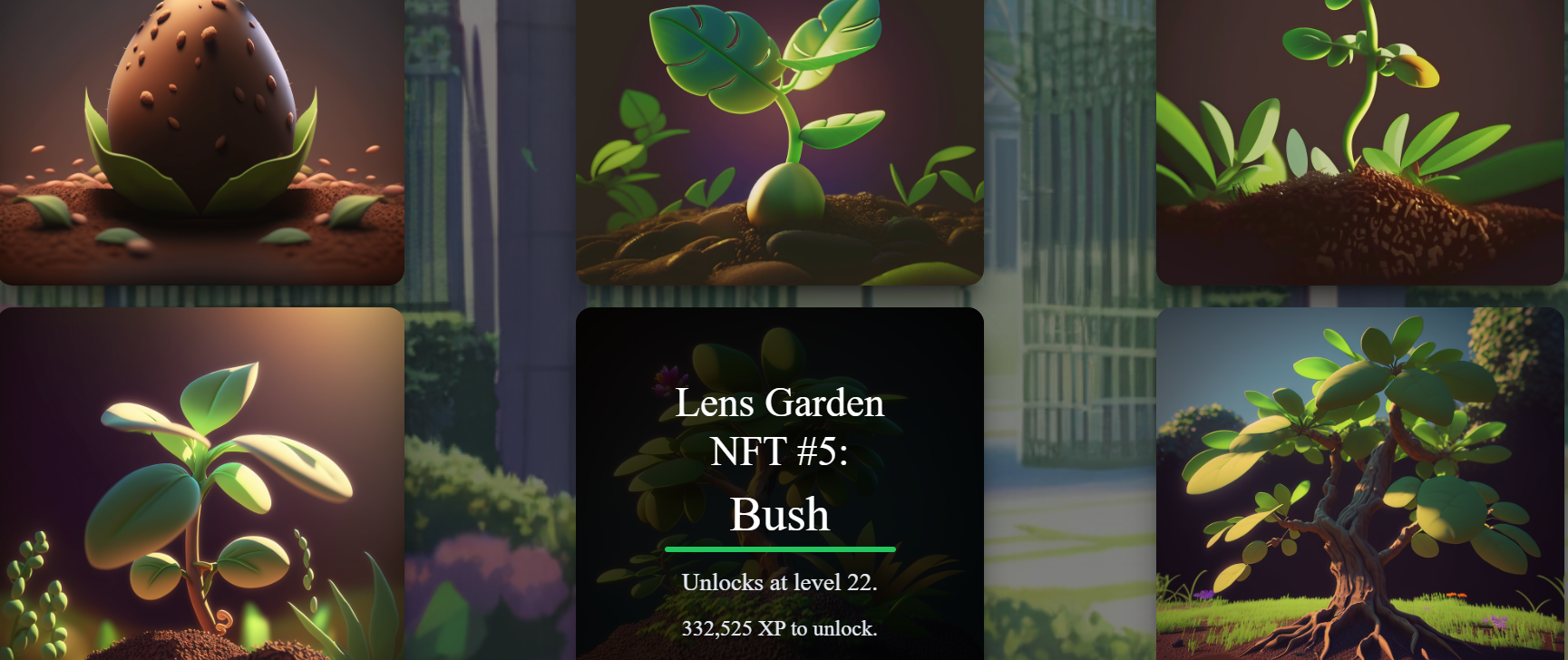 Lens Garden