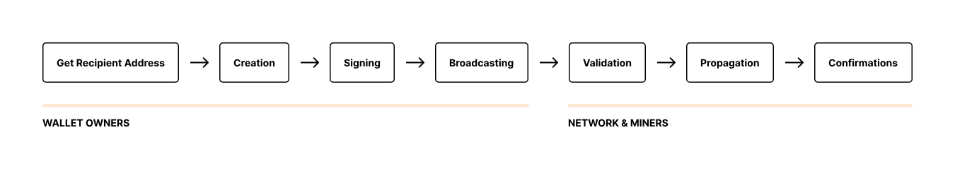 https://bitcoin.design/assets/images/guide/how-it-works/transactions/tx-lifecycle-simplified.svg