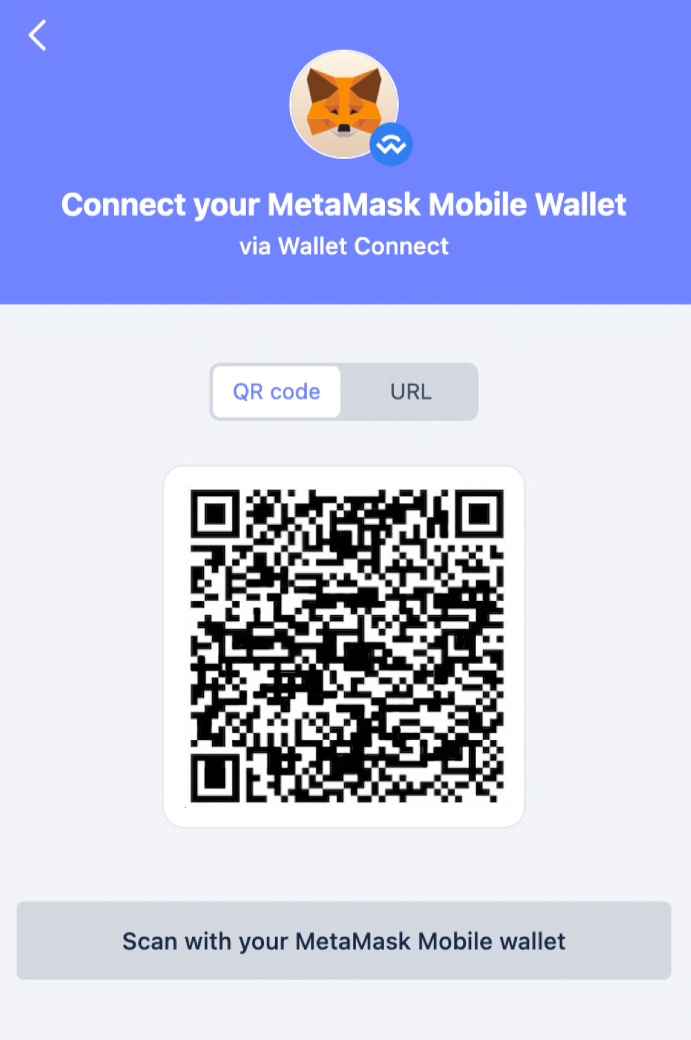 The URL provided by Rabby Wallet is intended for establishing a WalletConnect session, not for direct address import.