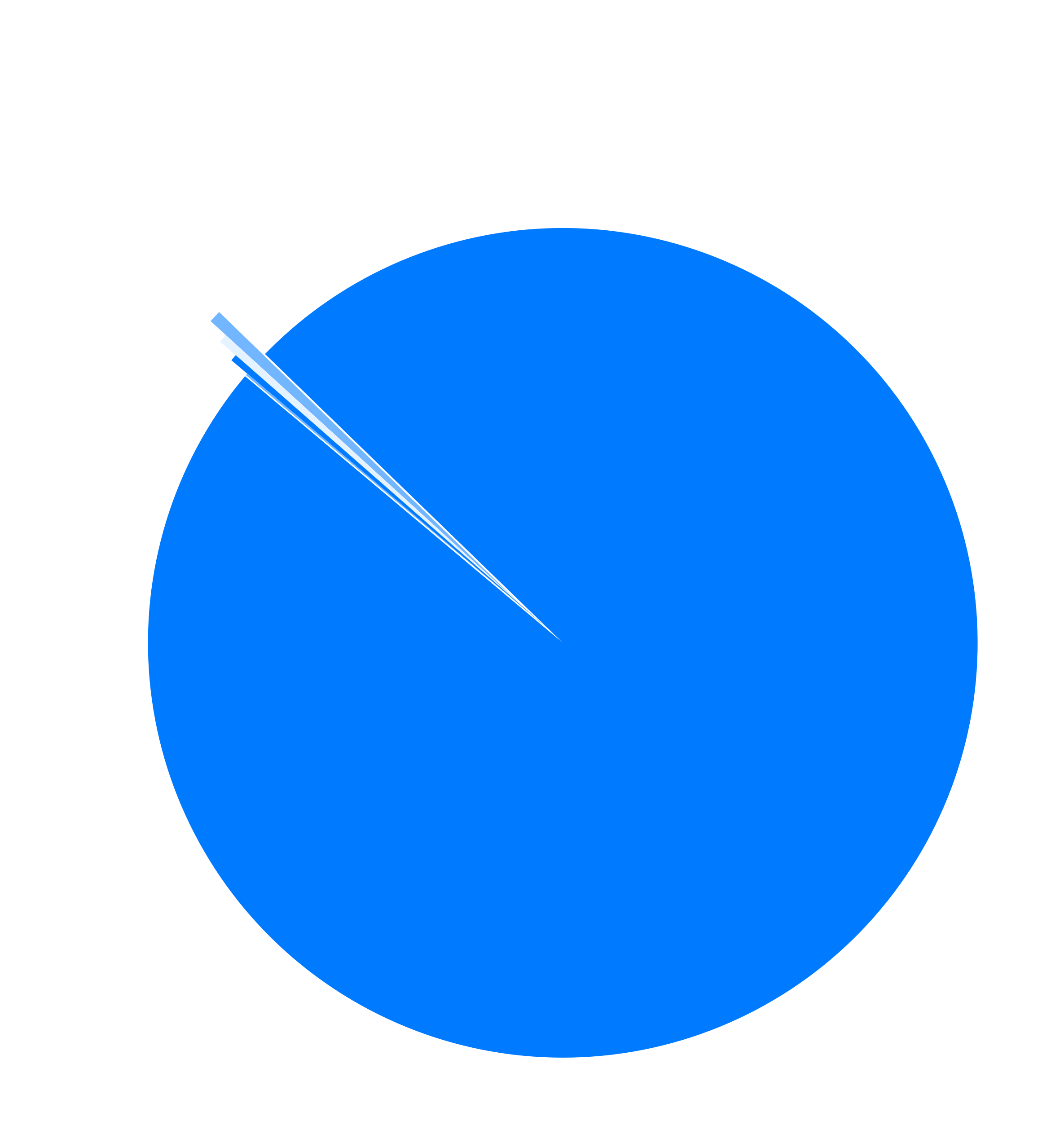Pie chart comparing the usage of the L2 chains