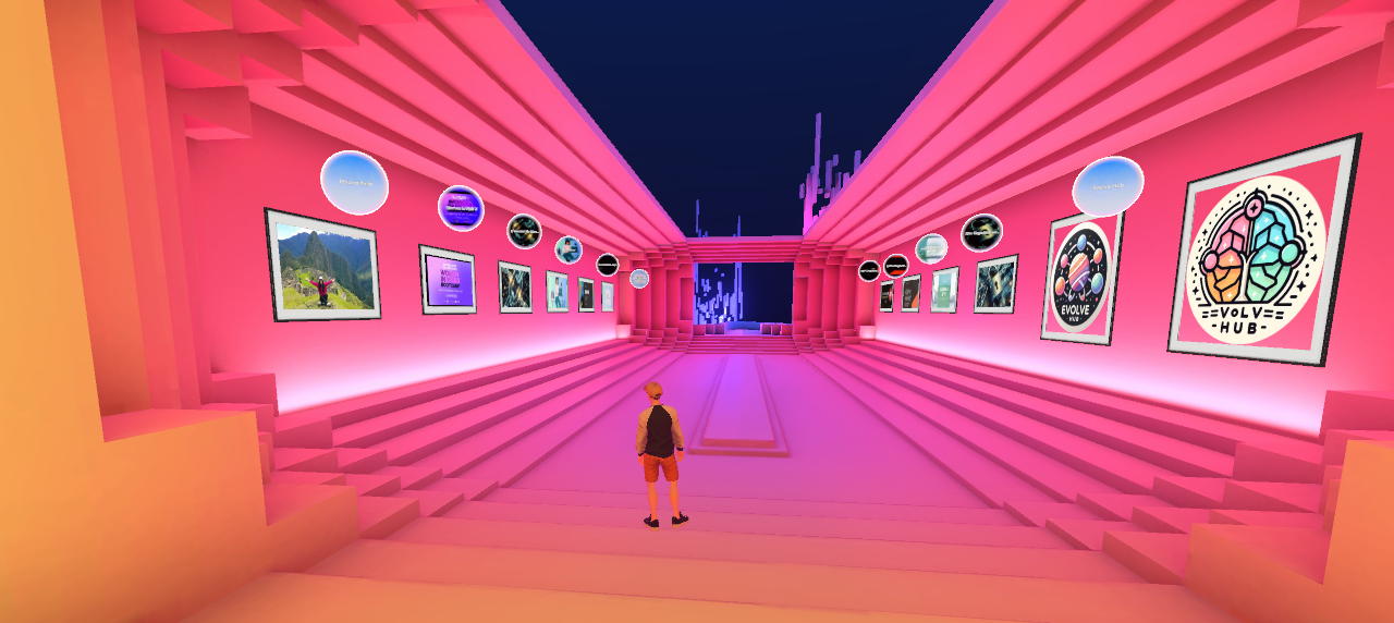 Evolve's Hub Gallery