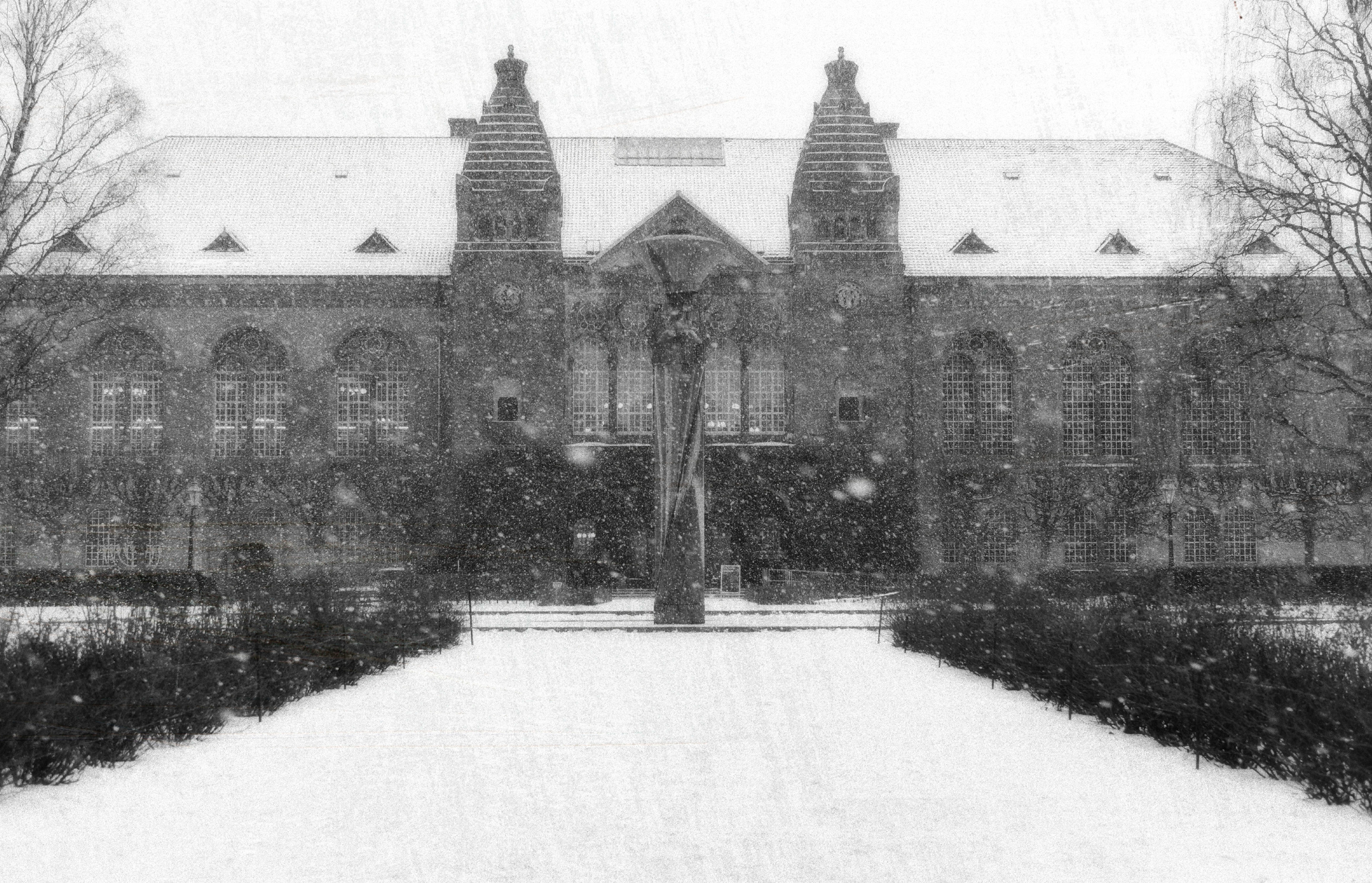 Garden of the Royal Danish Library in light snowfall. January 2024. 