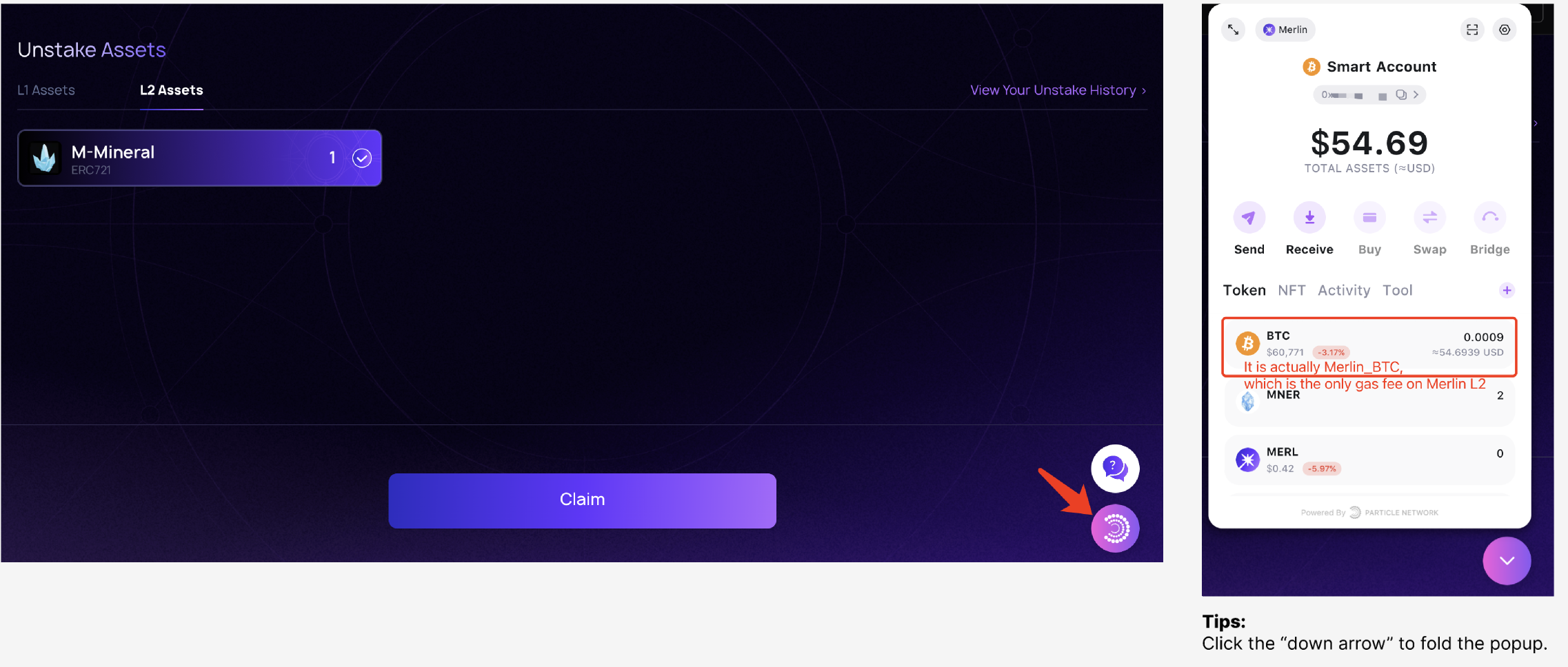EVM wallet on Merlin chain entry