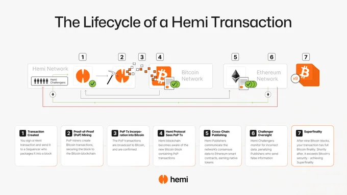 The Lifecycle of a Hemi Transaction