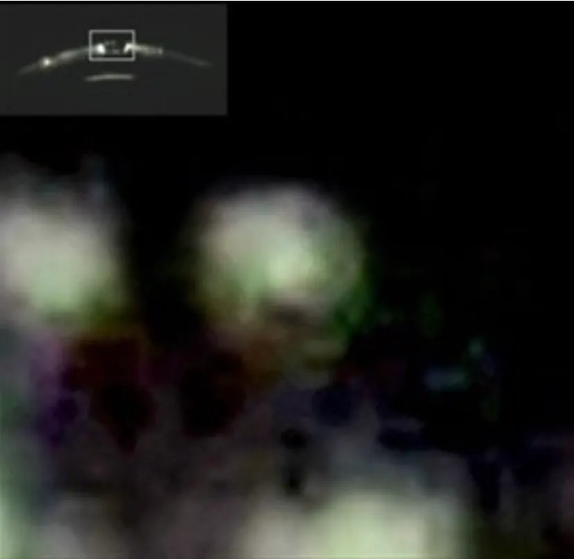 An image of a UAP taken in Turkey in 2009 appears to show grey aliens inside the craft.
