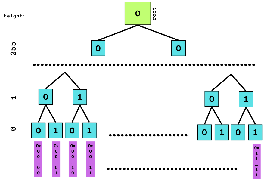 in the case of SHA-256, the tree has a height of 256 and 2^{256} leaf nodes represented by 256-bit paths.