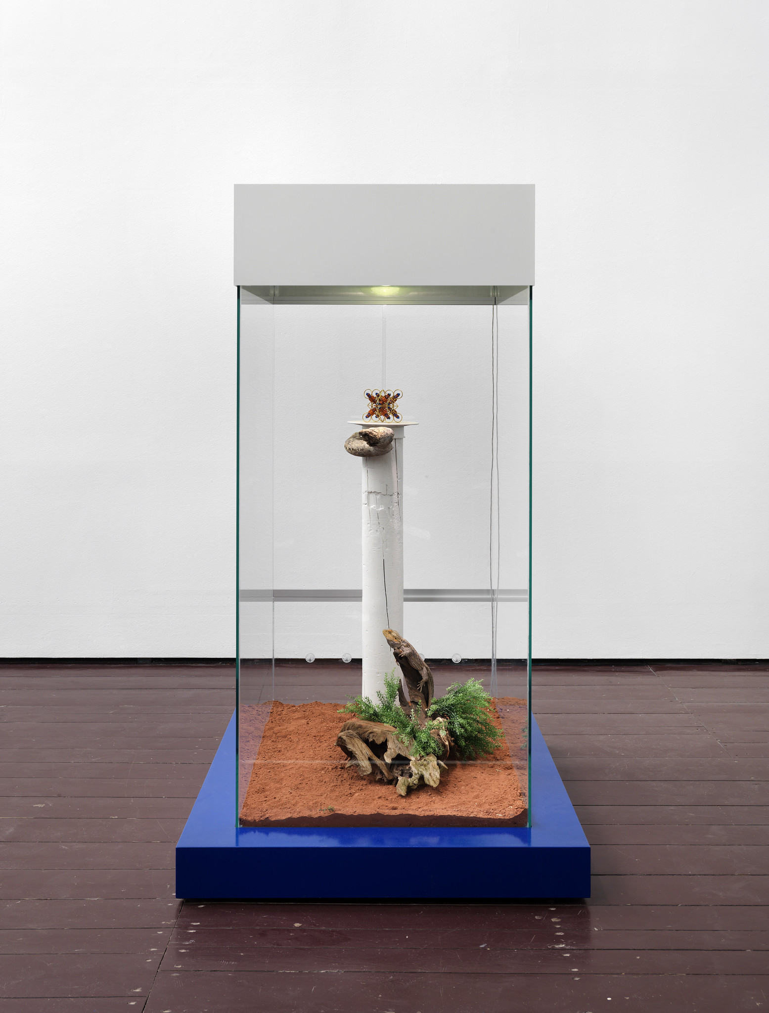 (RES) Neodymium, installation at TBA21, Rare Earth Exhibition 2014