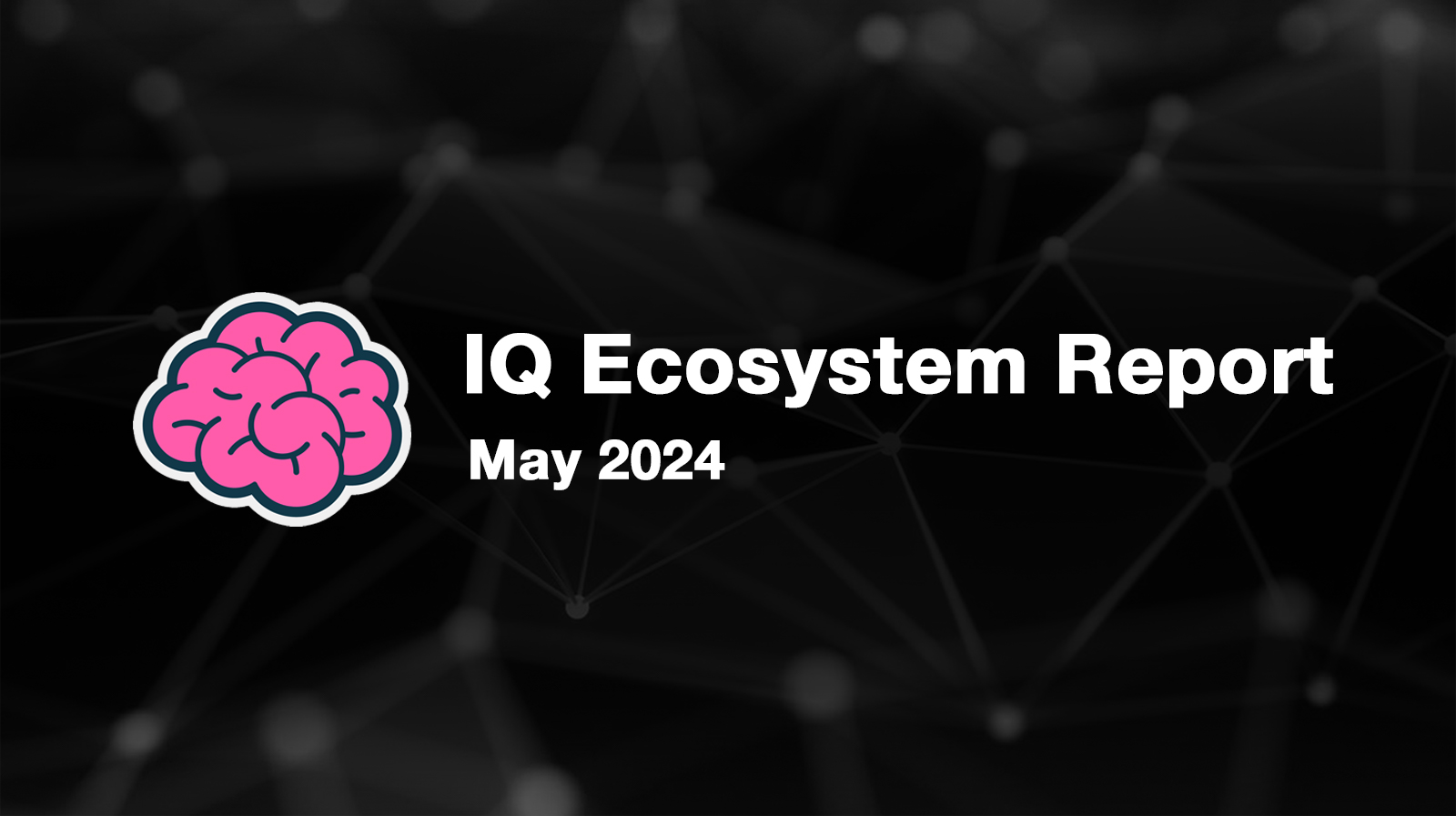IQ 생태계 보고서 - 2024년 5월