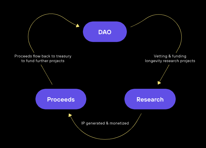VitaDAO Ecosystem