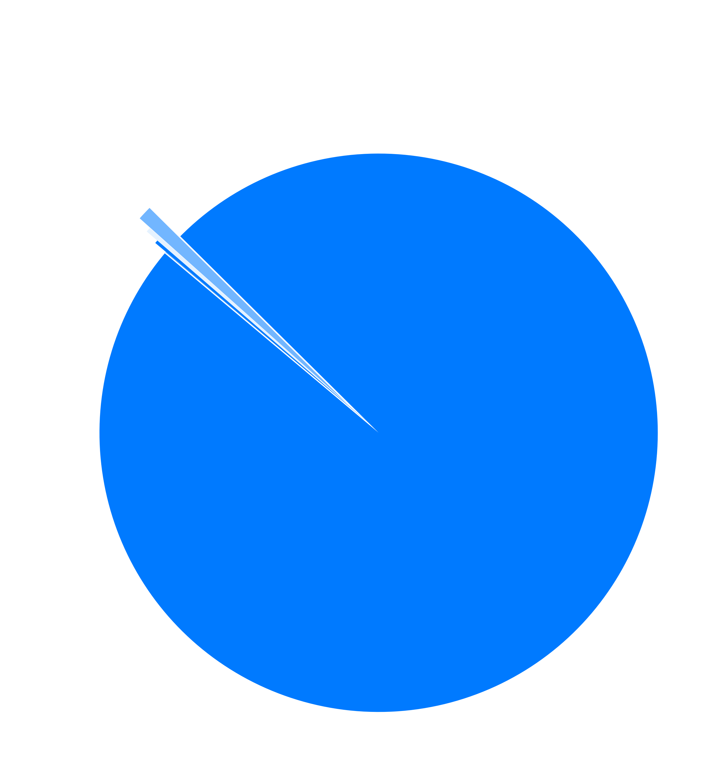 Pie chart comparing the usage of the L2 chains
