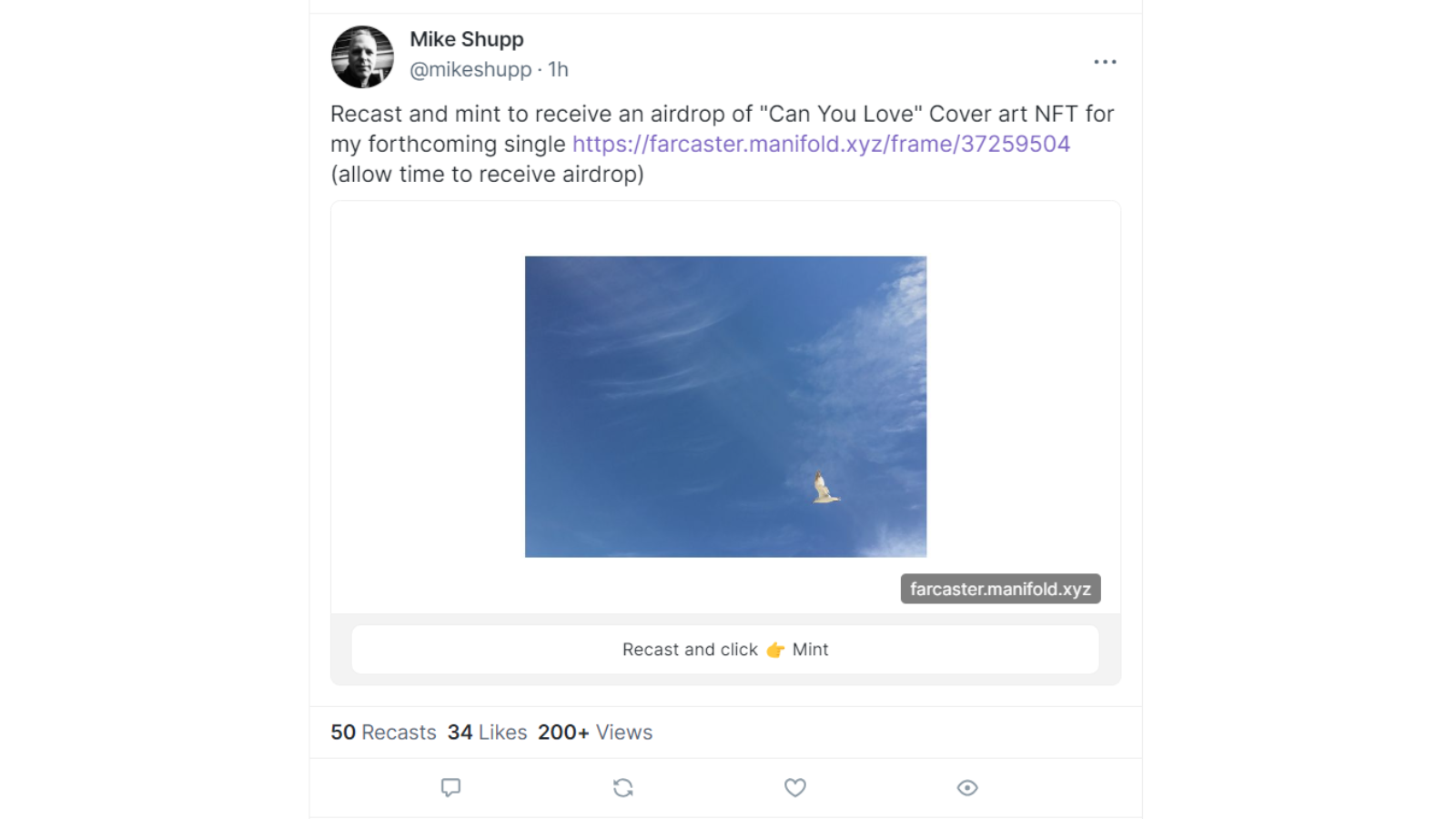 Screenshot: Mint 