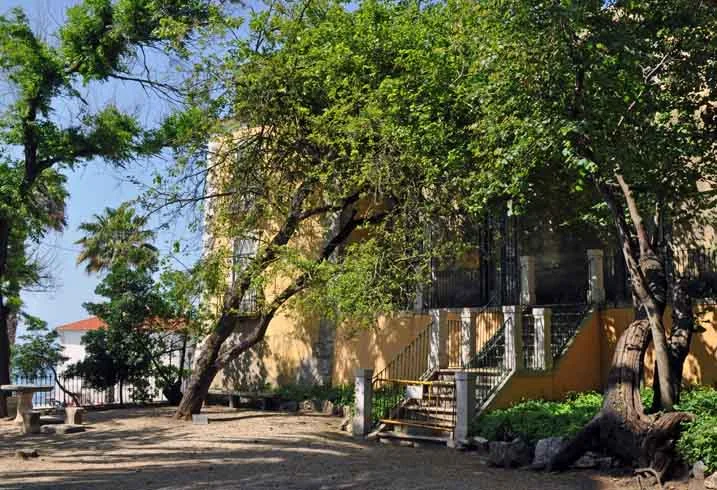 Jardim