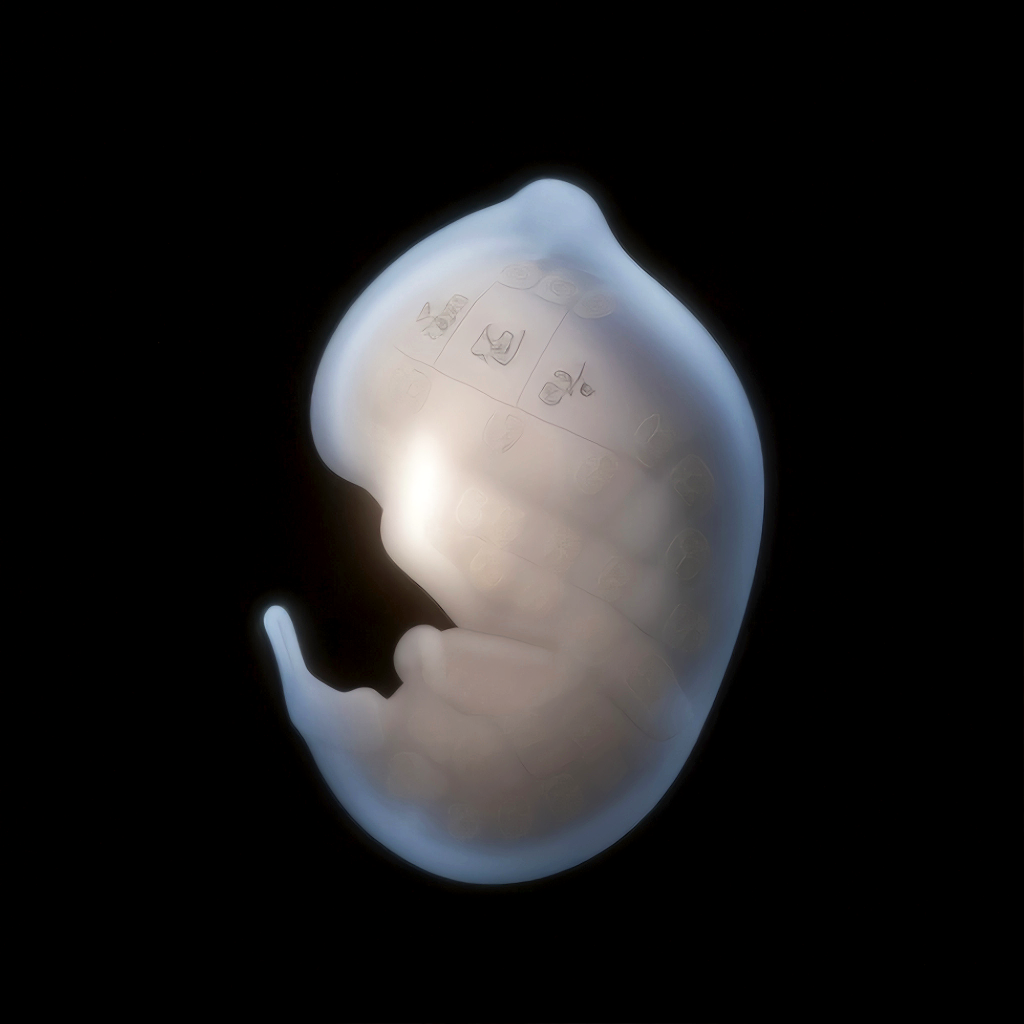 Token #01 of neo embryo:genesis by SYS™