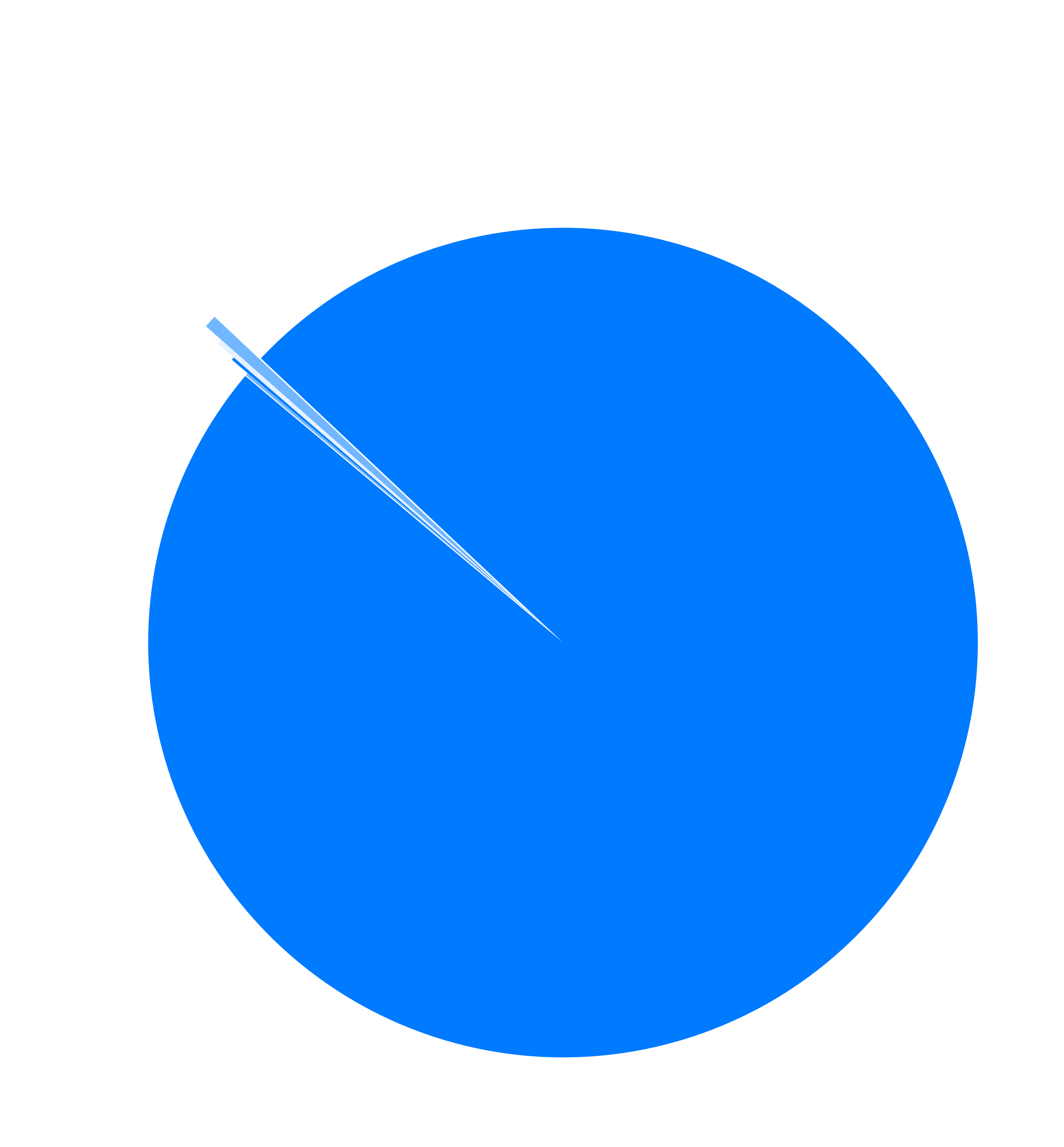 Pie chart comparing the usage of the L2 chains
