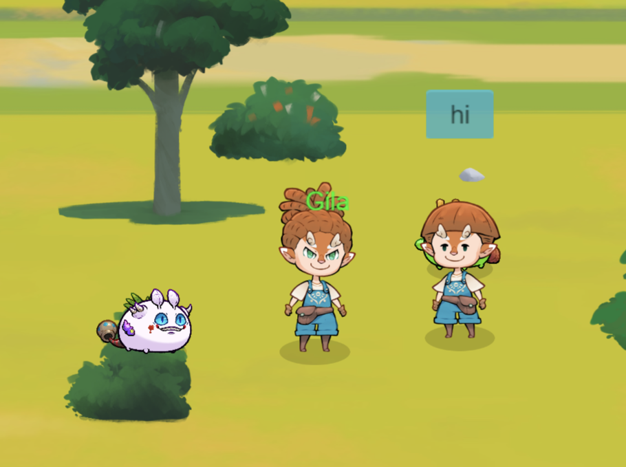 Me saying hi to Gila in Town (my Axie hiding behind me)