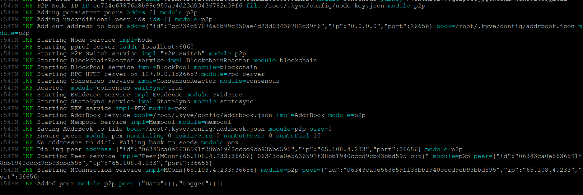 If this starts without an error, the output should look similar