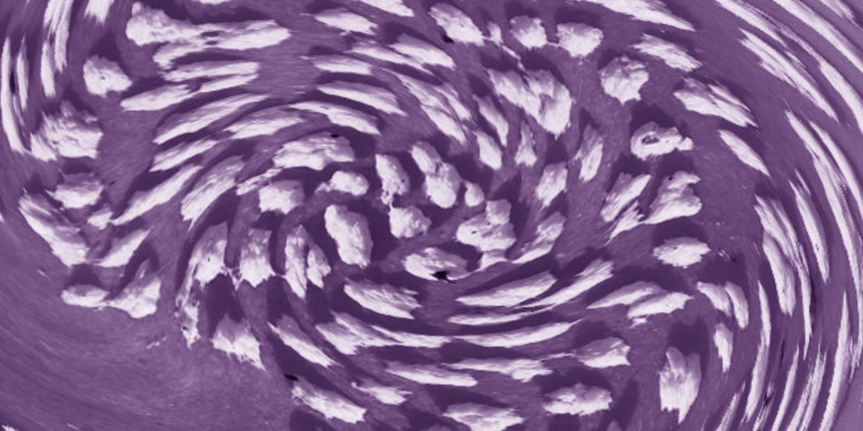 Card Header