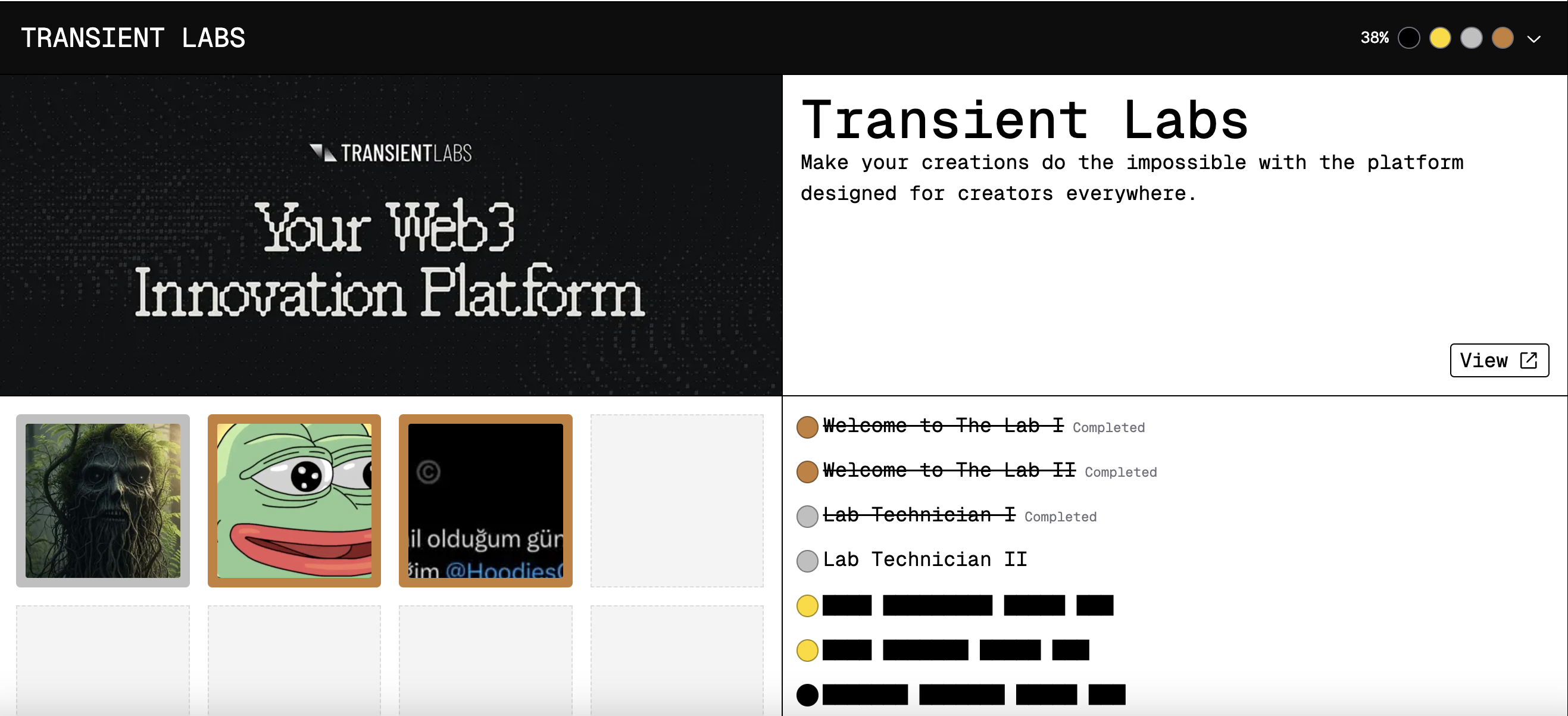 Transient Labs