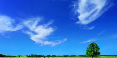 Card Header