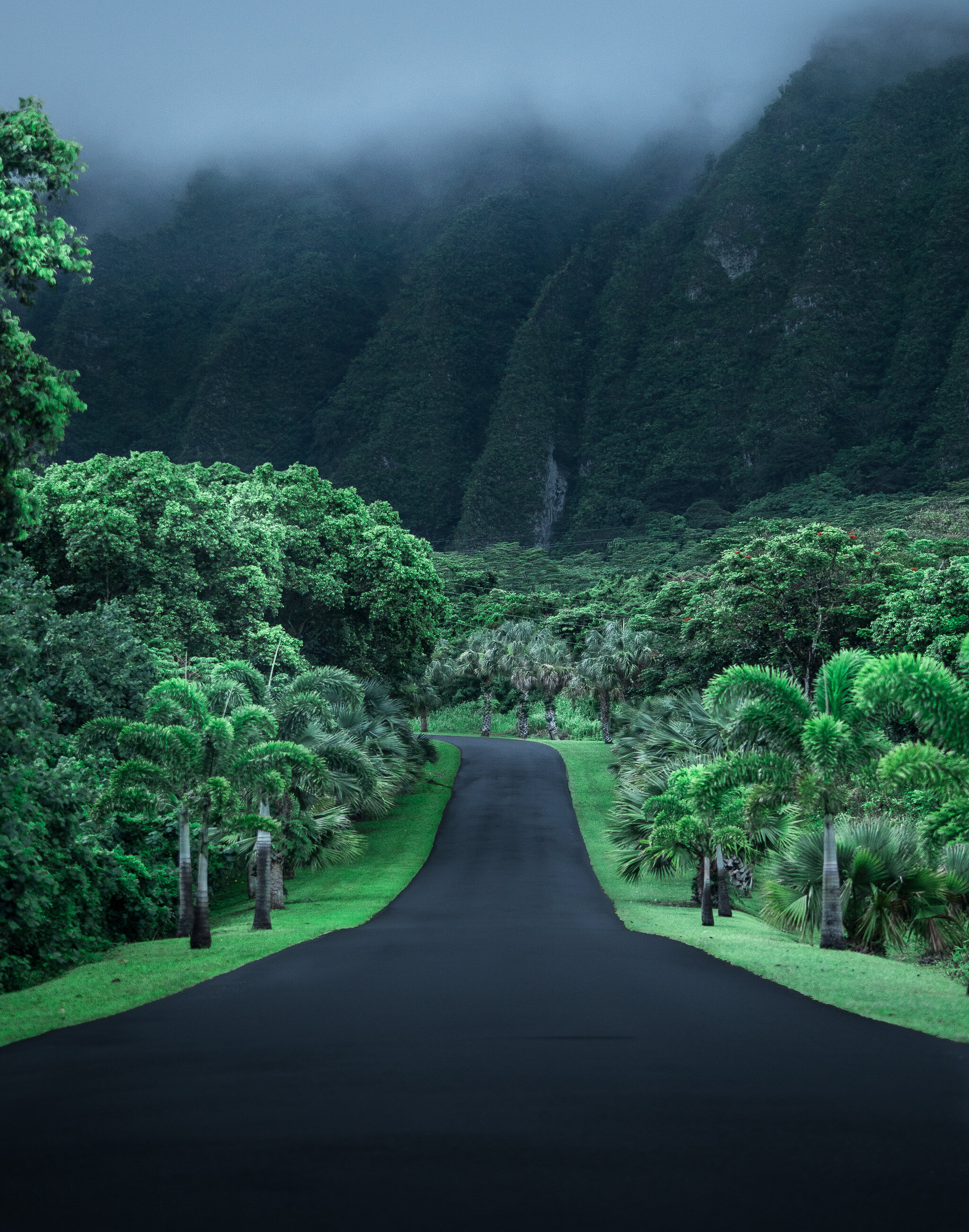 #FreeHawaii Photo by Cath Simard