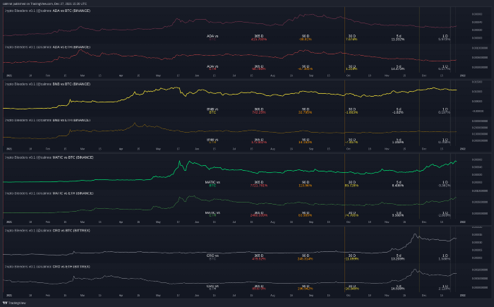ADA, MATIC, BNB, CRO gained against ETH and BTC this year