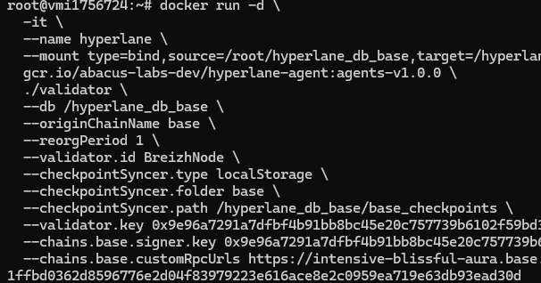 What's happening: We're launching the Hyperlane node using Docker.