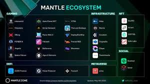 https://medium.com/@thecryptologyacademy/what-you-need-to-know-about-mantle-network-460d17db6424