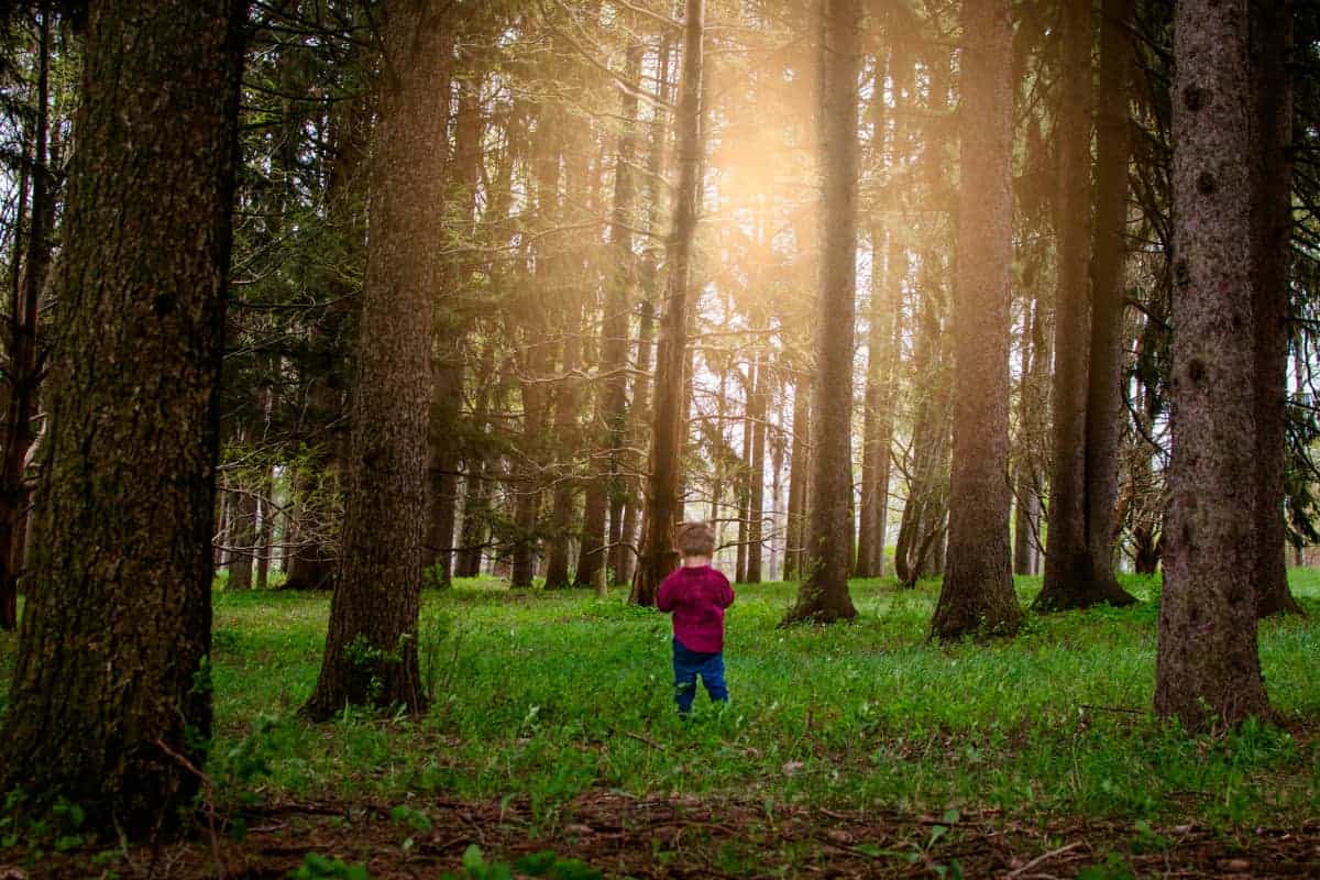 Meditation as a key for connecting to our hearts.