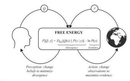 Figure 2.5 Complementary roles of perception and action in the minimization of variational free energy.
