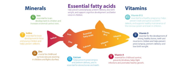 Both The United Nations and the FAO call fish “a natural superfood”.