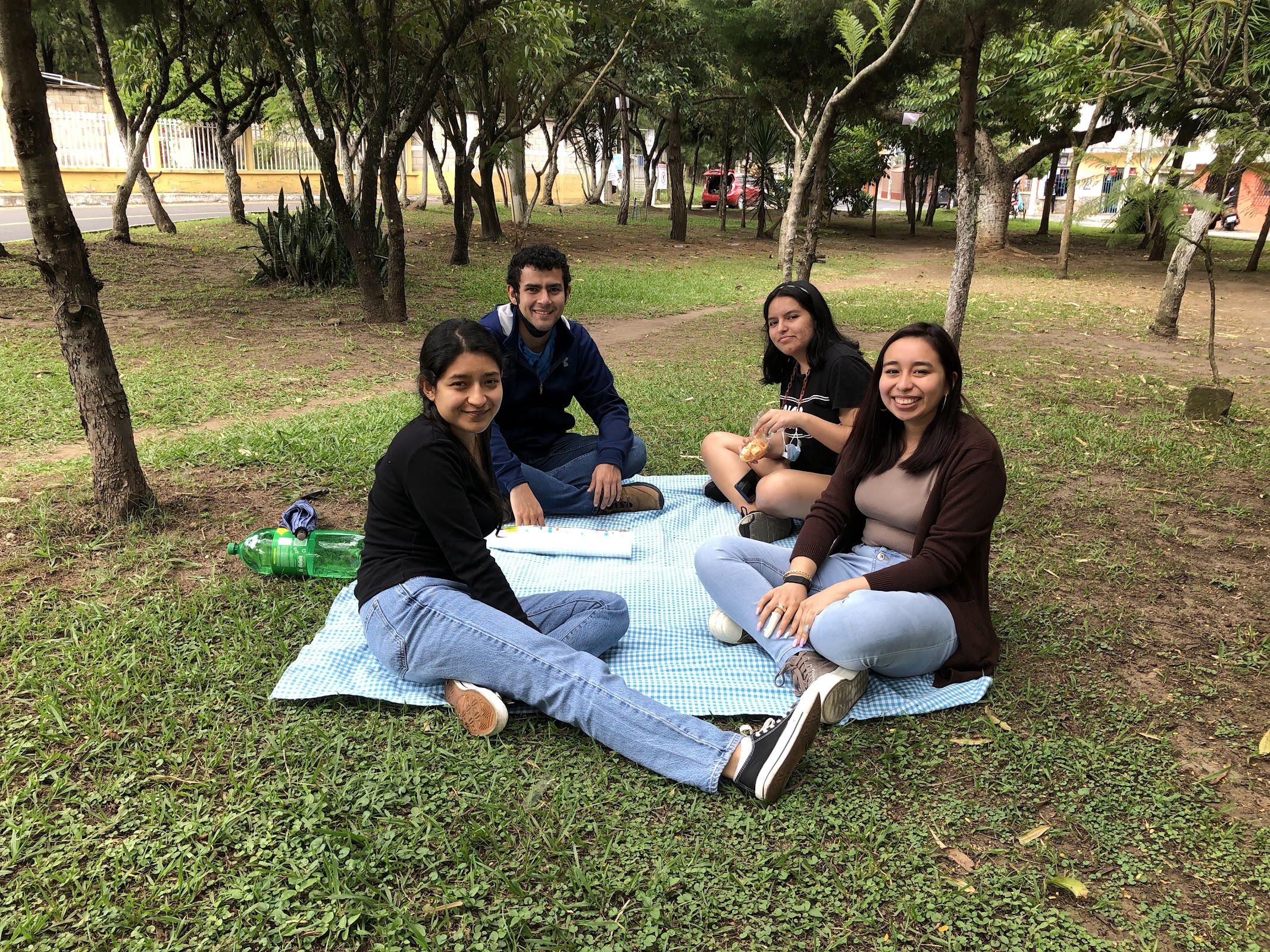 Jóvenes haciendo picnic en el área verde.