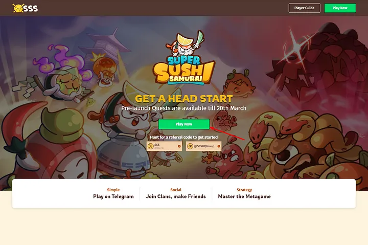 After navigating to the website, click on the “Play Now” button.