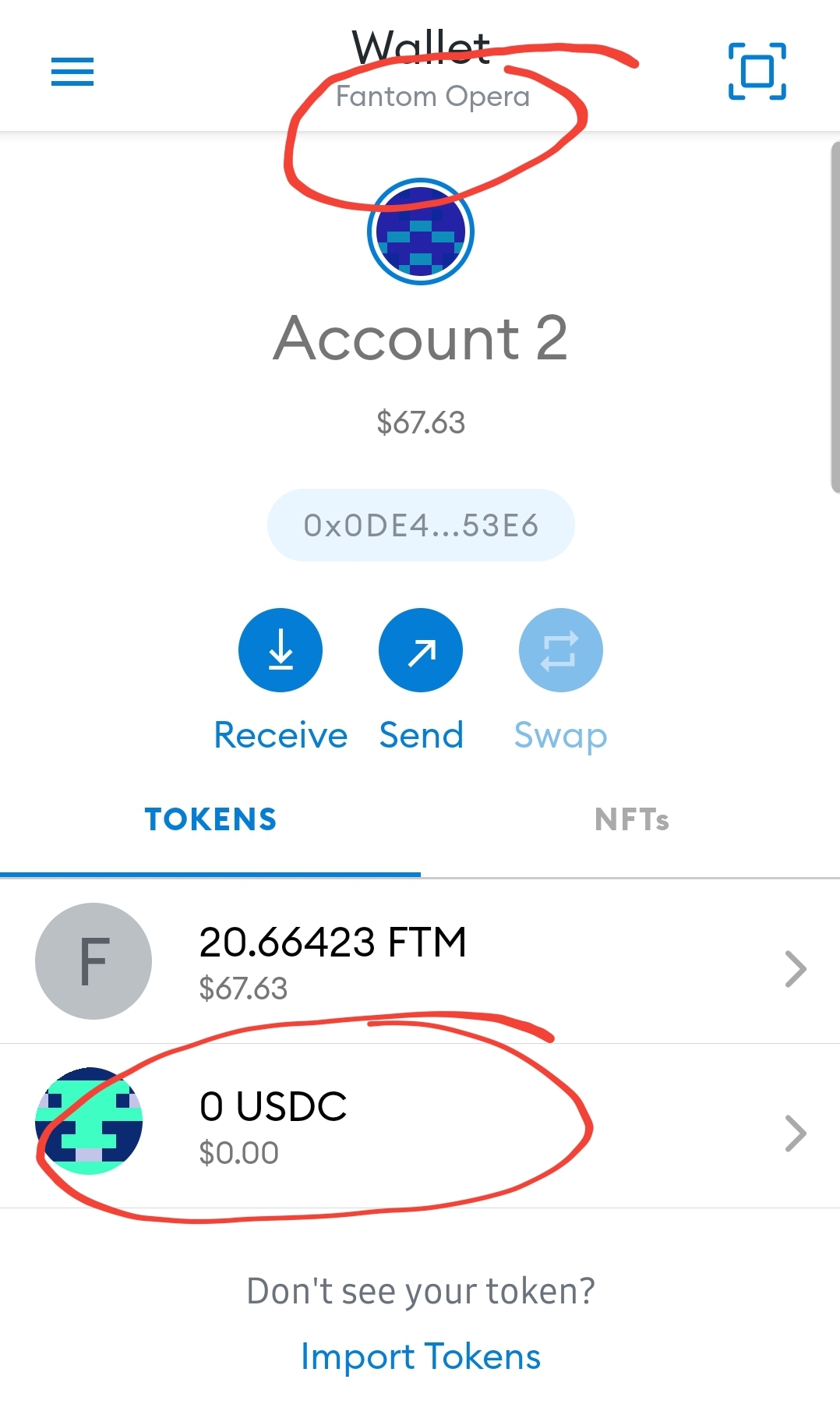 completed Fantom network token