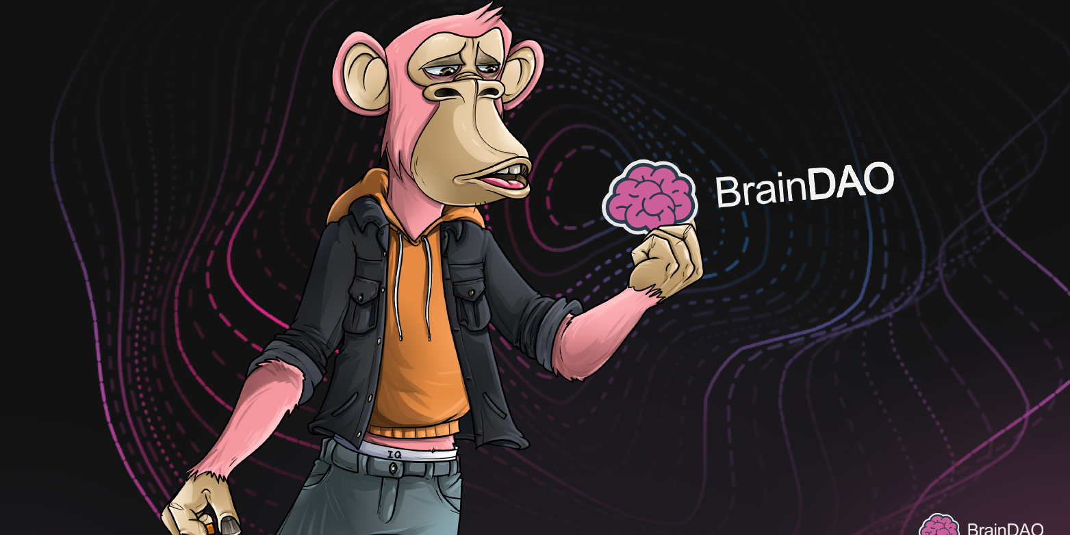 BrainDAO: IQ토큰 인프라 개선
