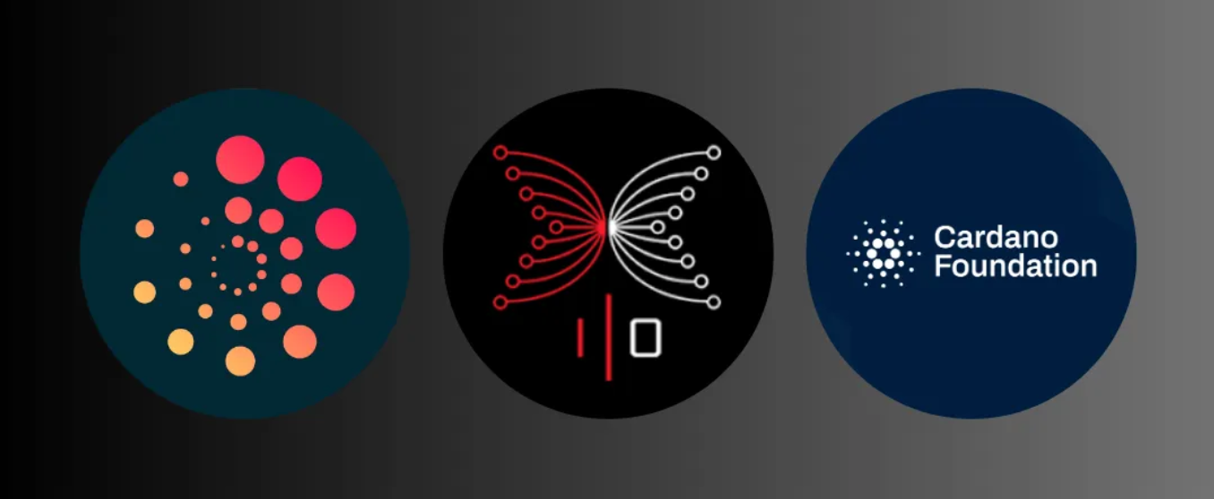 Emurgo, IOG and Cardano Foundation