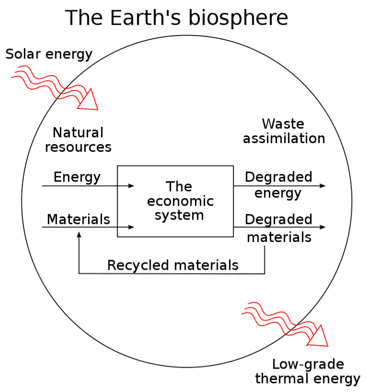 Flow of resources through the economy.