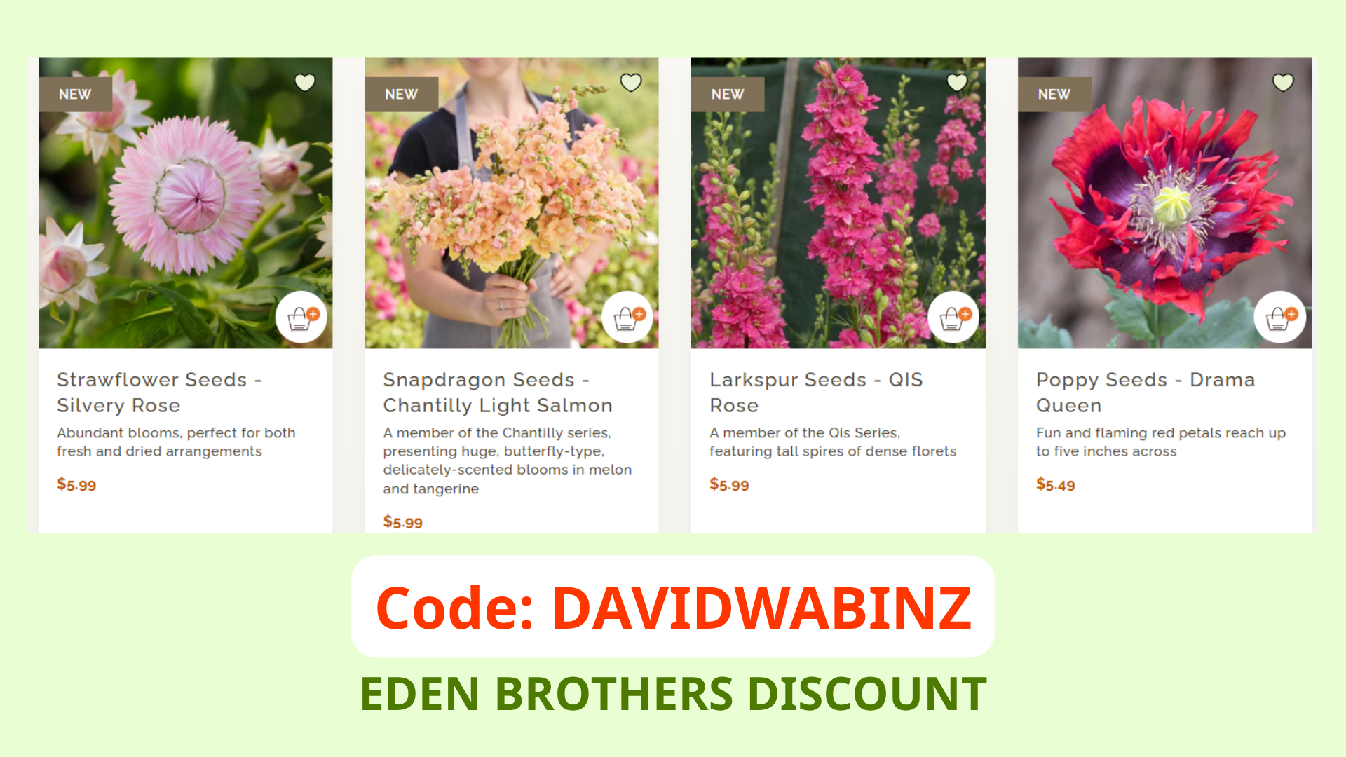Eden Brothers Discount Code: DAVIDWABINZ