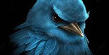 Card Header