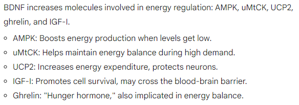 Metabolic, hormonal actions of BDNF