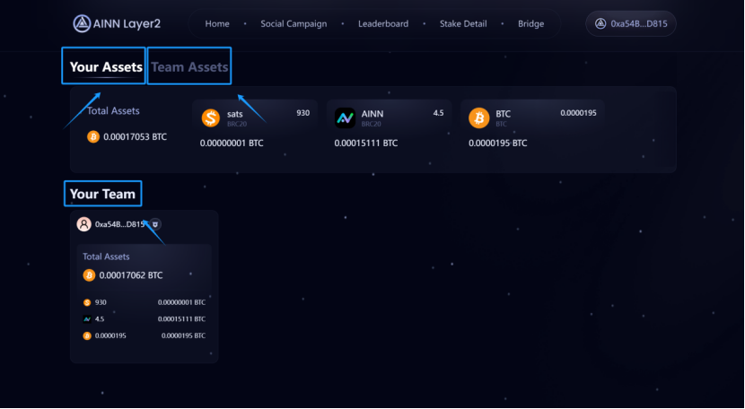 Scroll down, and you will be able to see your assets, your team’s assets, and your team members.